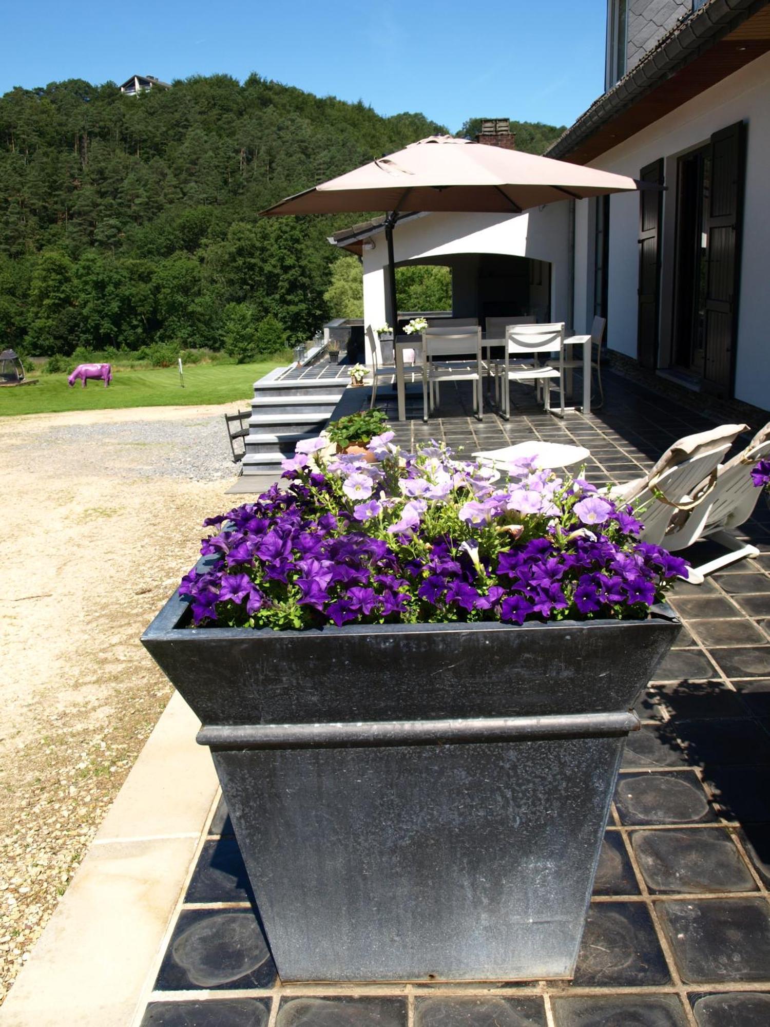 Studio & Appartement Au Lac Sart-lez-Spa Esterno foto